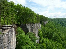 image of cliffs at New River gorge